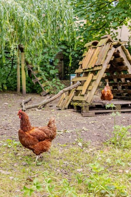 チッペナムCosy Cotswolds Retreat Near Bath & Castle Combeアパートメント エクステリア 写真